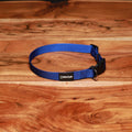 Adjustable Nylon Dog Collar Champion Blue