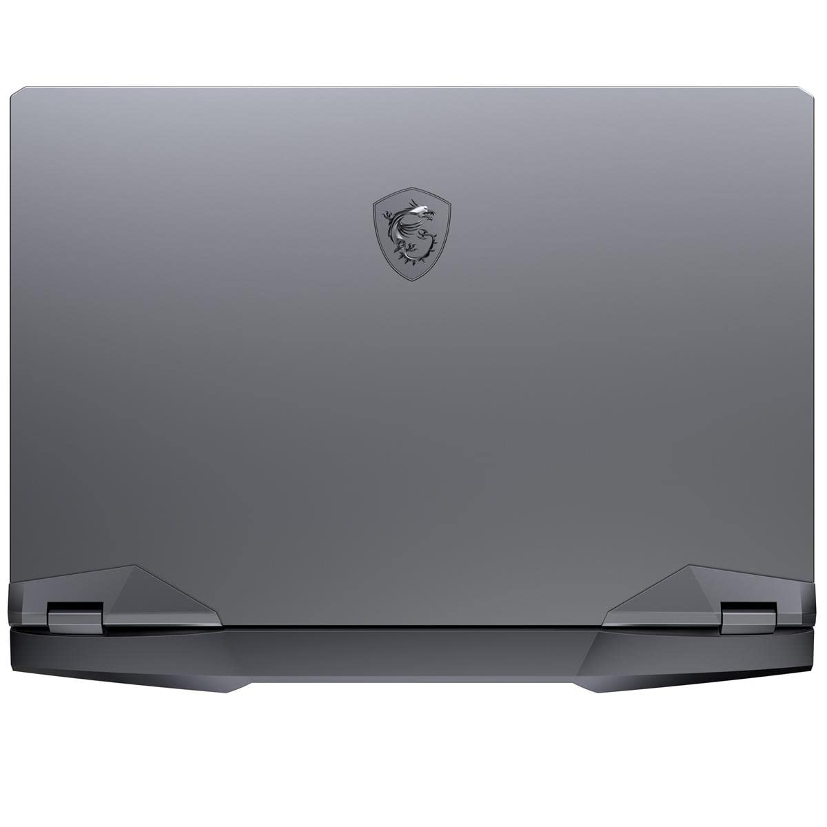 MSI - GE66 Raider - 15.6 IPS Gaming Laptop - i7-10750H - 32GB - RTX 2070 SUPER Max-Q - 1TB SSD - GE66058