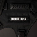 Service Dog White Paw