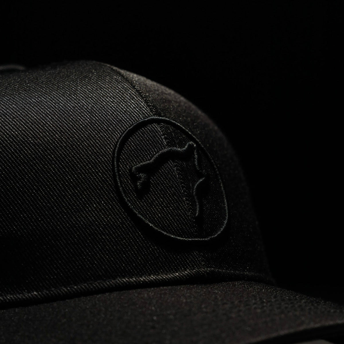 Performance Curved Bill Hat Nightshade