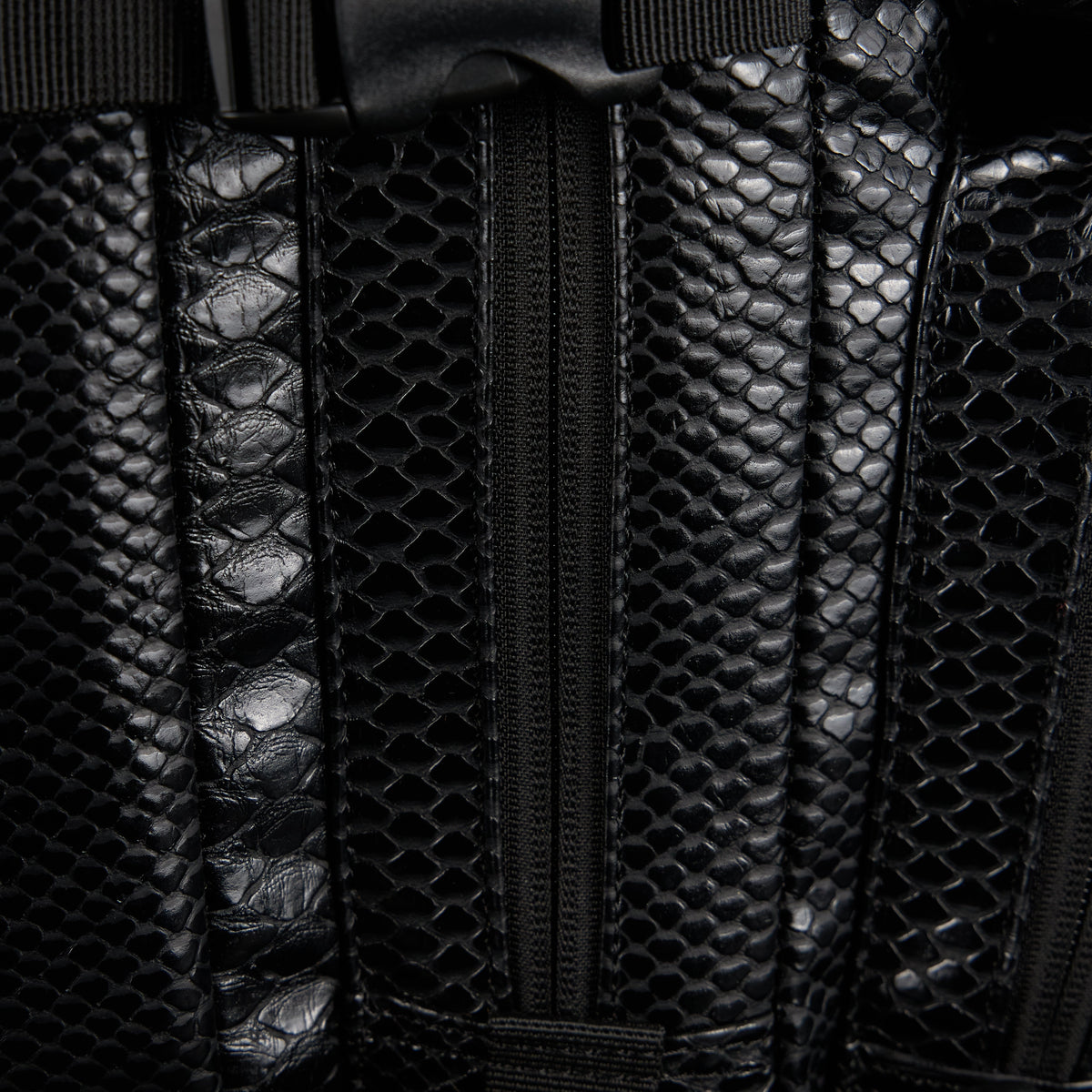 35L Backpack King Cobra