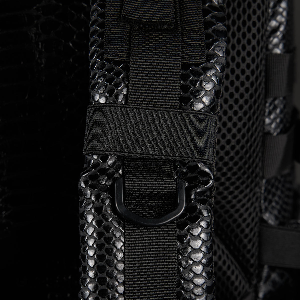 45L Backpack King Cobra