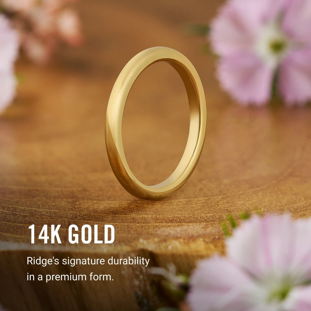 Ridge 2mm Rounded Ring Set - 14K Yellow Gold